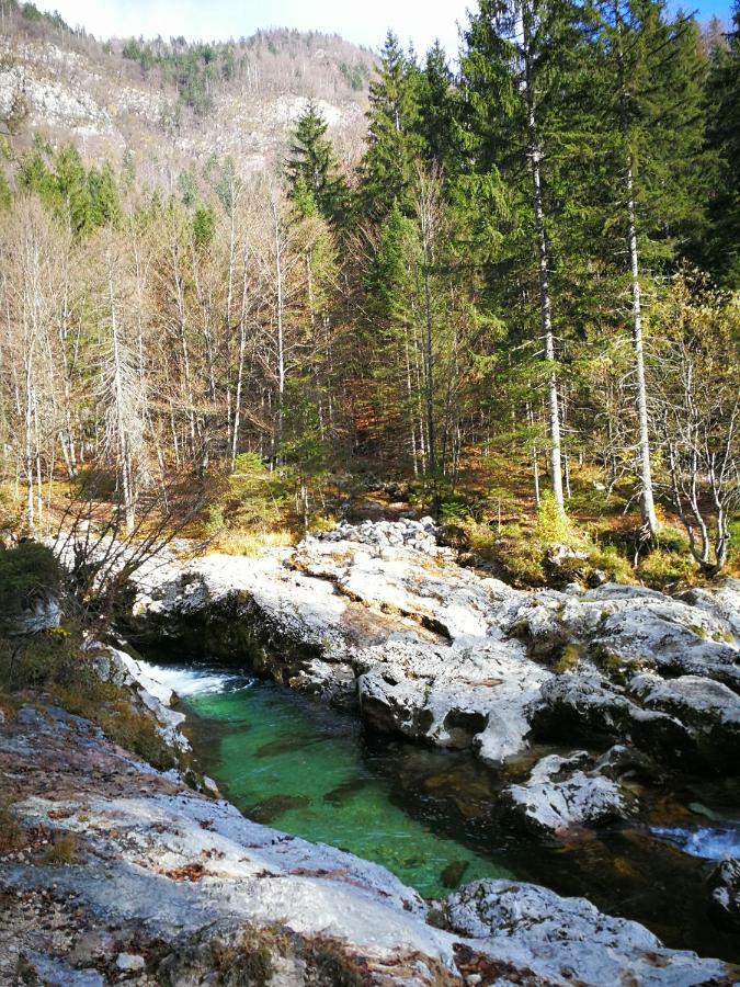 Planika B&m Bohinj