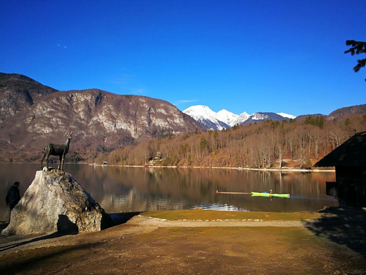 Planika B&m Apartman Bohinj